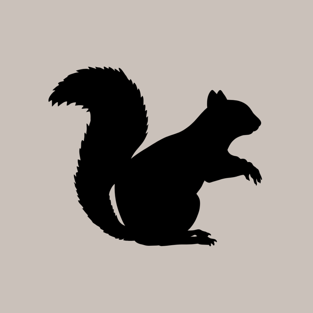 Wildlife Control Services in Northern Kentucky