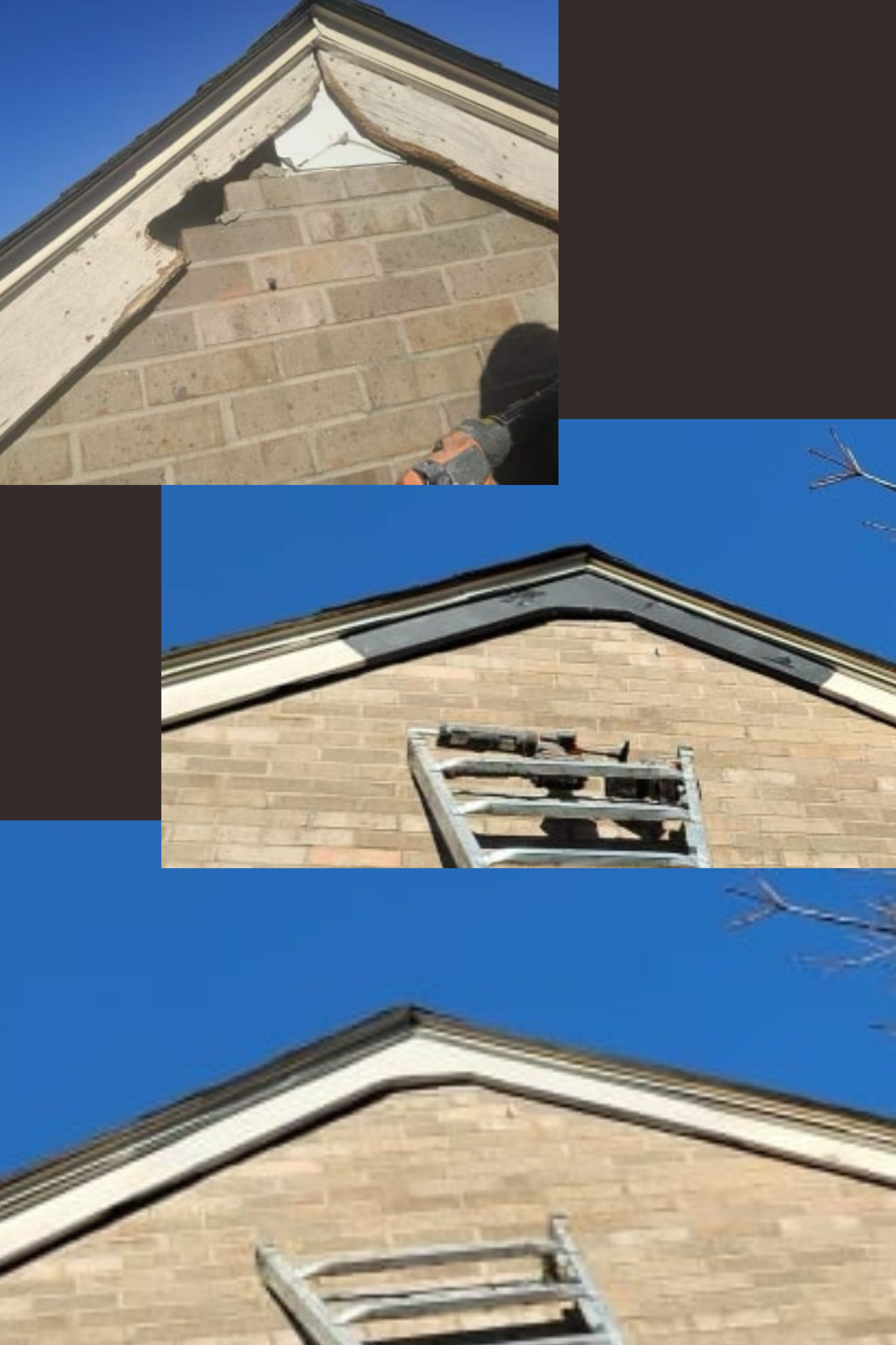 Wildlife Control Services in Northern Kentucky