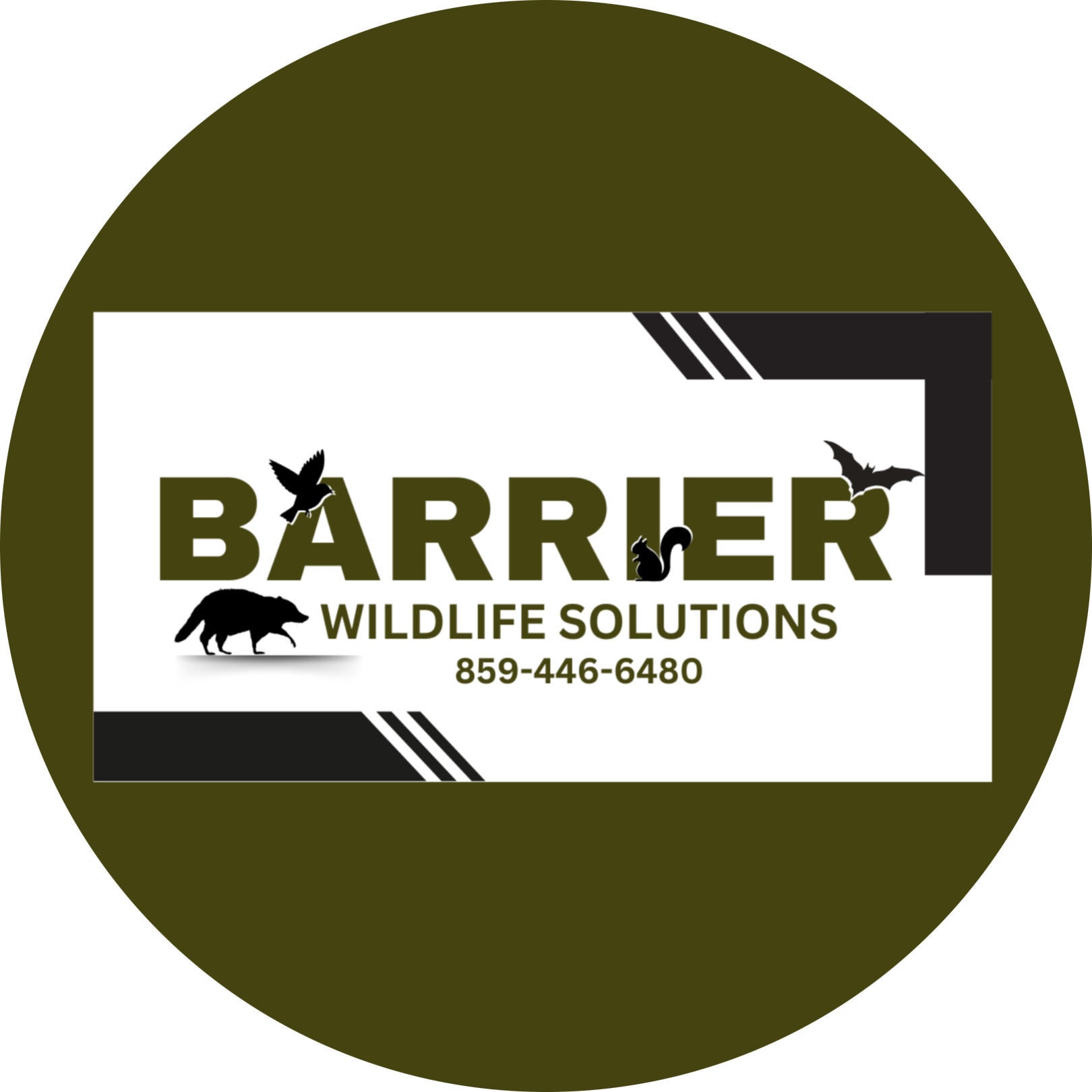 Your First Line of Defense Against Wildlife Invasions in Northern Kentucky